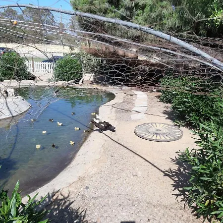 Dom wakacyjny Quinta - Pera Almancil