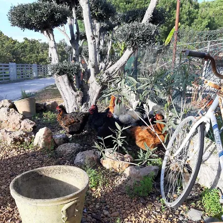 Dom wakacyjny Quinta - Pera *