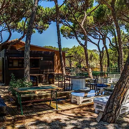 Quinta - Pera * Almancil