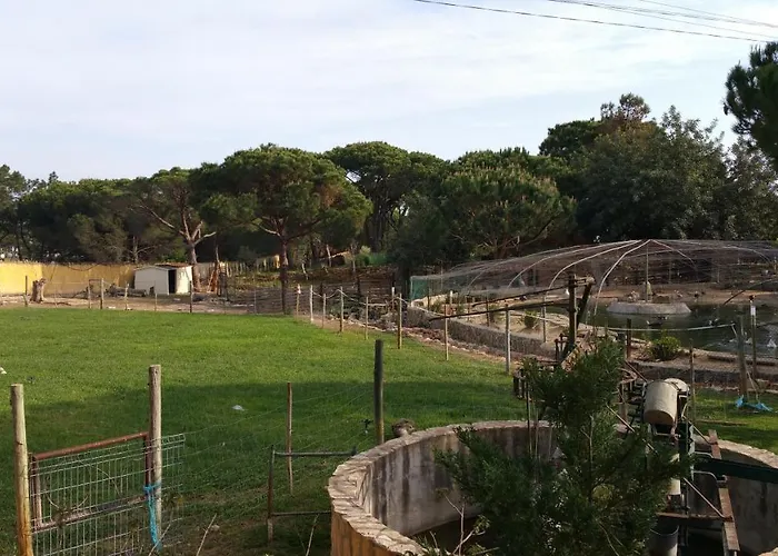 Quinta - Pera アルマンシル