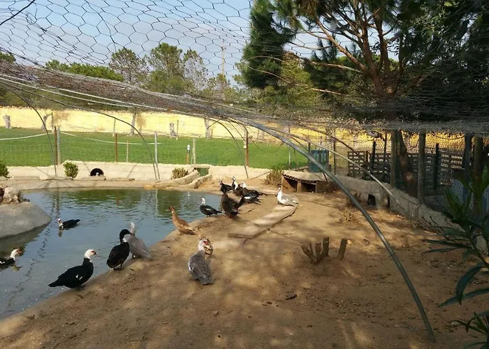 Quinta - Pera 別荘 *