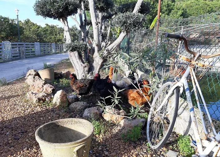 別荘 Quinta - Pera *