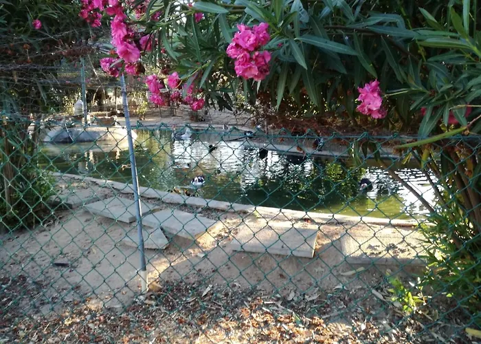 Quinta - Pera 別荘