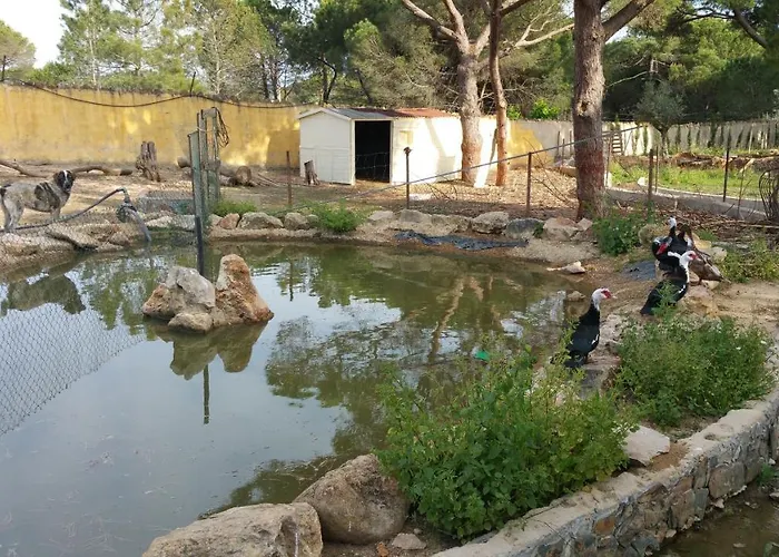 Quinta - Pera 別荘 アルマンシル