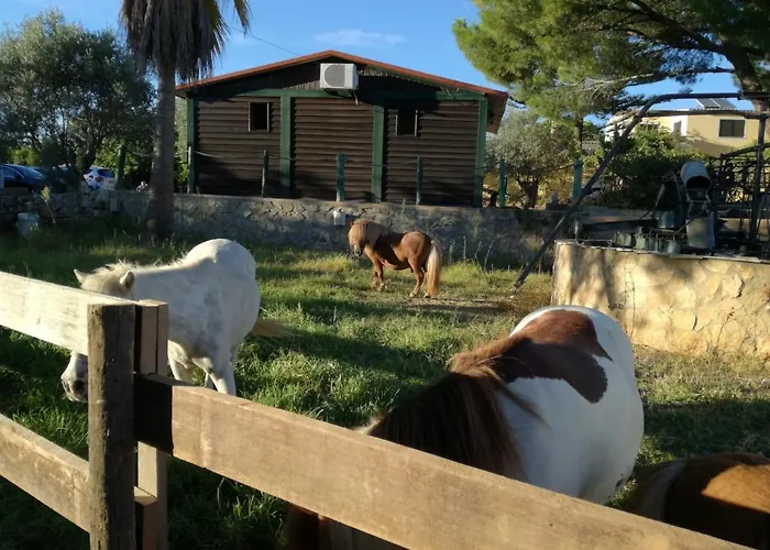 Quinta - Pera アルマンシル