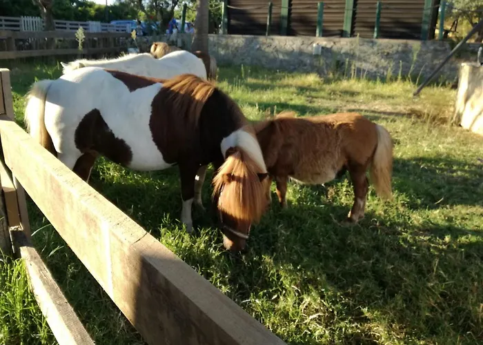 別荘 Quinta - Pera アルマンシル