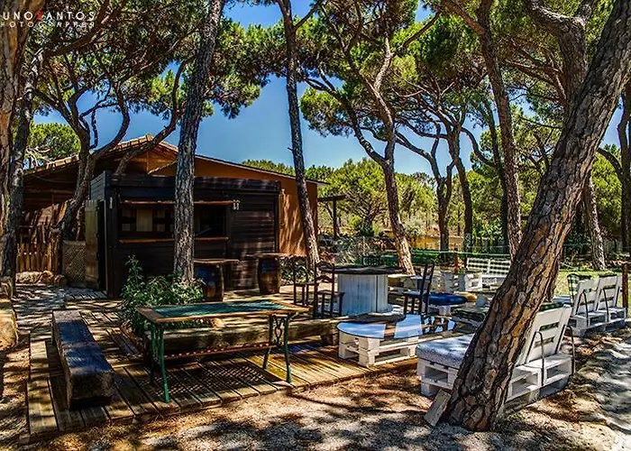 Quinta - Pera * アルマンシル