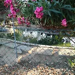 Quinta - Pera Casa de Férias