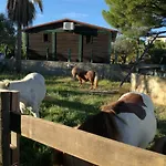 Quinta - Pera Almancil