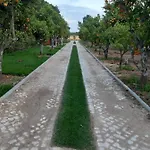 Quinta - Pera