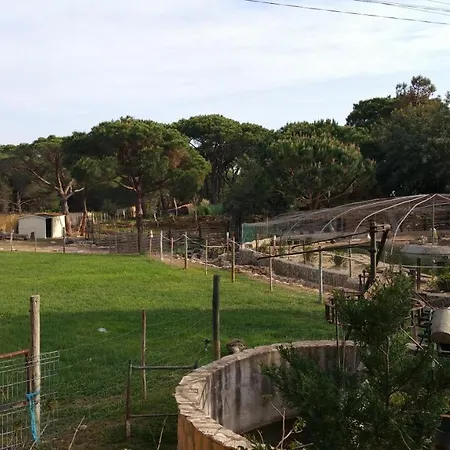 Quinta - Pera Almancil