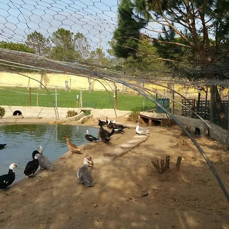 Quinta - Pera Holiday home *