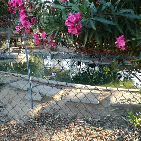 Quinta - Pera Holiday home