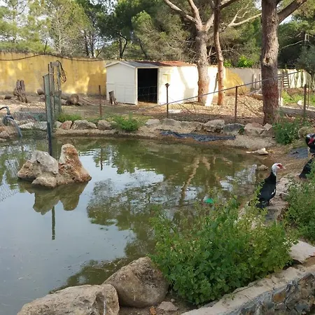 Quinta - Pera Casa de Férias Almancil