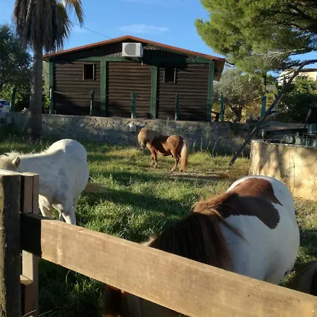 Quinta - Pera Almancil