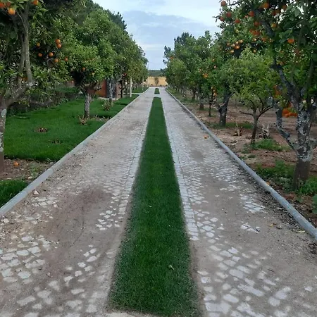 Quinta - Pera