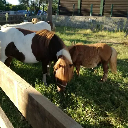 Casa de Férias Quinta - Pera Almancil